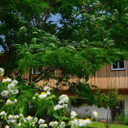 Das Stille Paradies Ledenitzen Exterior photo